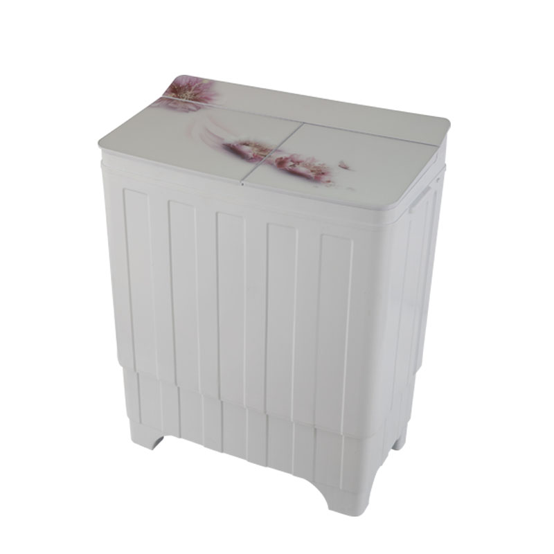 Máy giặt bán tự động Twin Tub